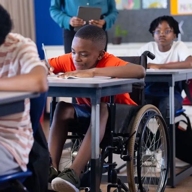 thumbnail for publication: Promising Practices for Working With Youth With Disabilities